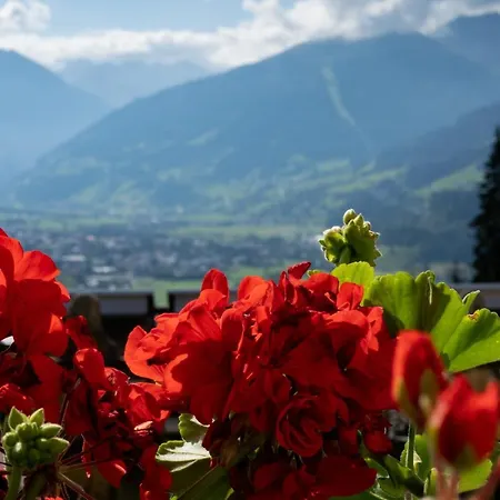 בקתה Schroeckgut באד הופגסטין