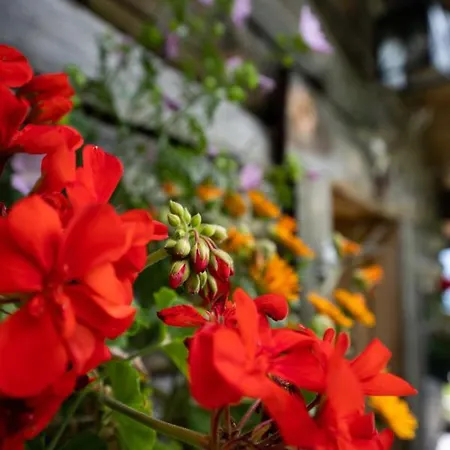 Horská chata Schroeckgut Bad Hofgastein