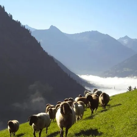 Schroeckgut Horská chata