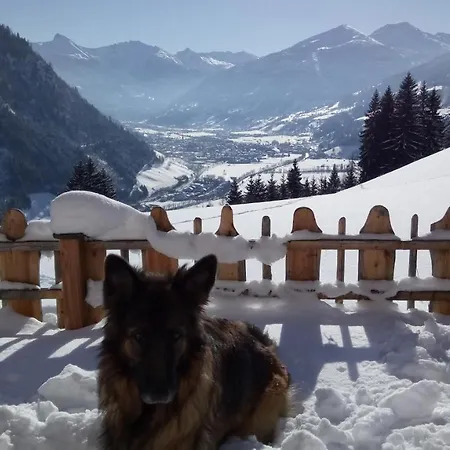 Schroeckgut * באד הופגסטין