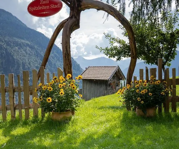 シャレー Schroeckgut *