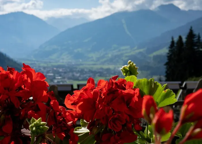 בקתה Schroeckgut באד הופגסטין