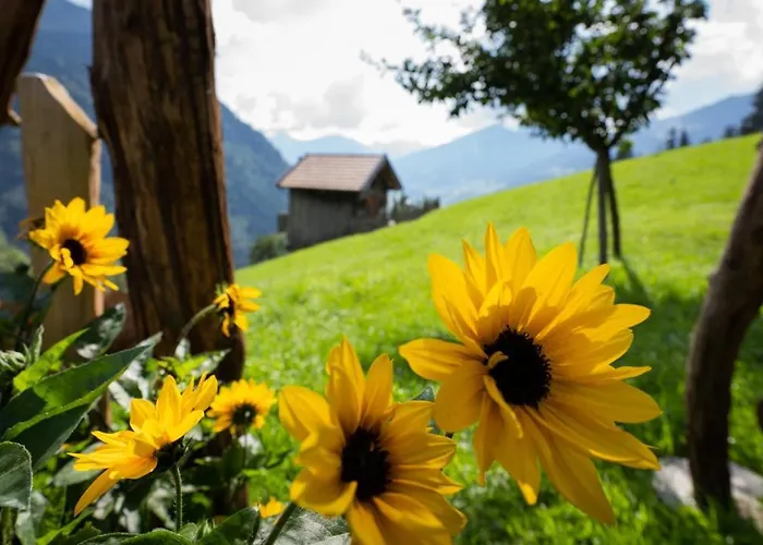 Schroeckgut バート・ホーフガシュタイン