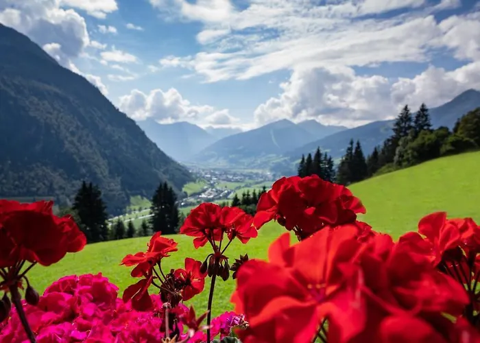 Schroeckgut בקתה