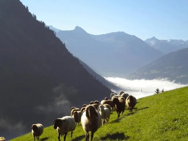 Schroeckgut בקתה