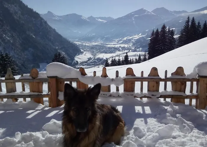 Schroeckgut * バート・ホーフガシュタイン